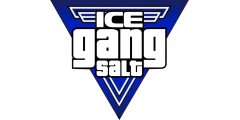 Жидкости Gang ICE SALT
