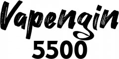 Одноразовые электронные сигареты Vapengin 5500